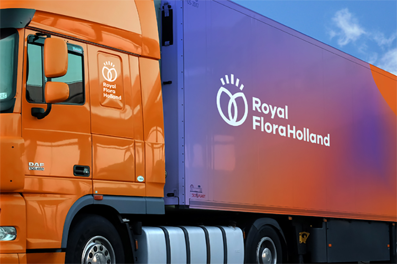 FloraHolland品牌VI设计