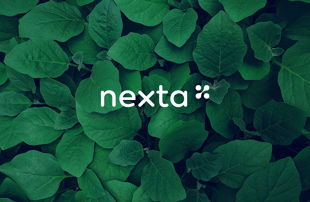 nexta 品牌VI设计