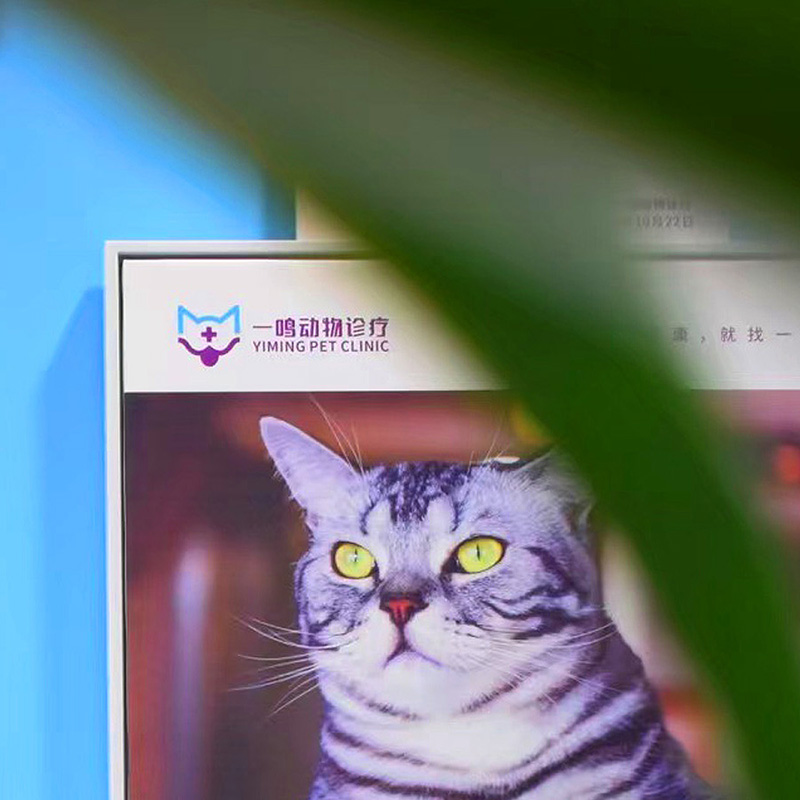 【一鸣】动物诊疗：品牌VI设计